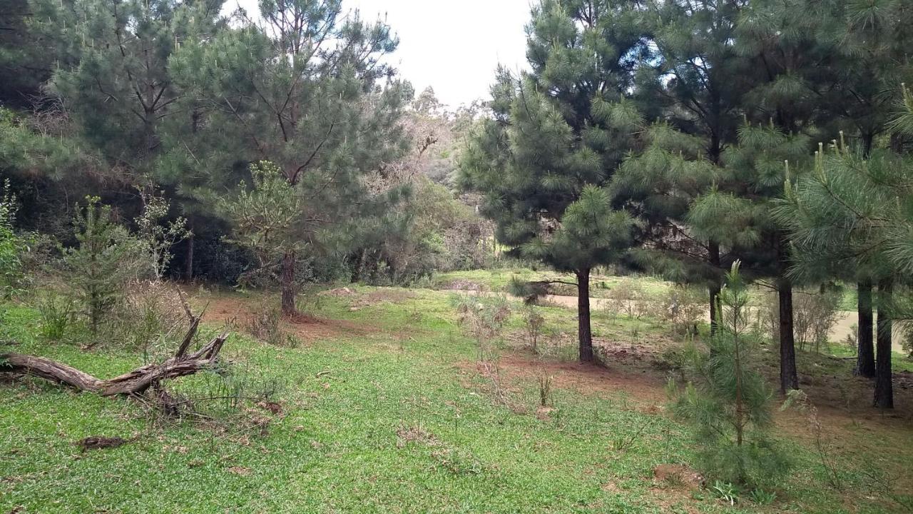 Chale Estancia Ouro Verde 拉热斯 外观 照片