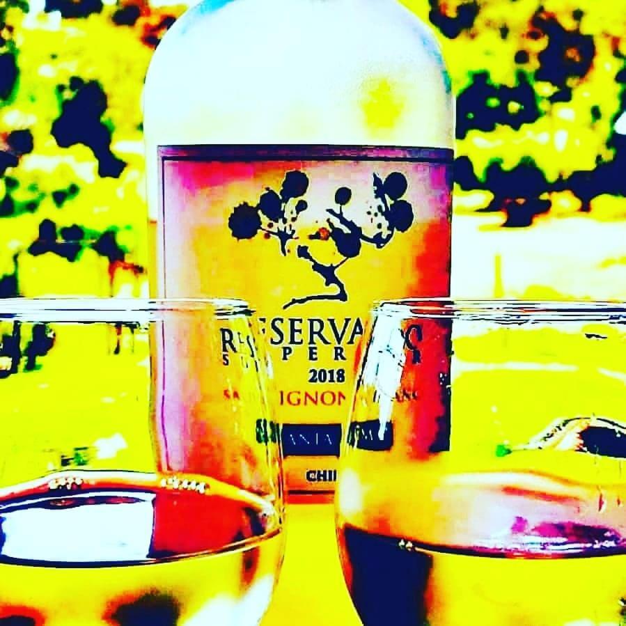Chale Estancia Ouro Verde 拉热斯 外观 照片